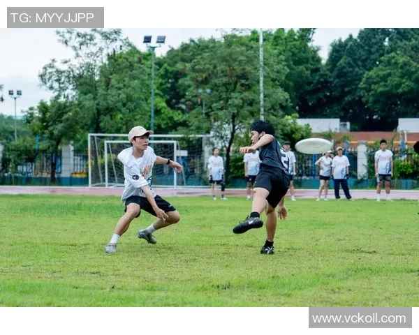 飞盘专题深度解析：深圳飞盘队默契配合与战术创新全景展示